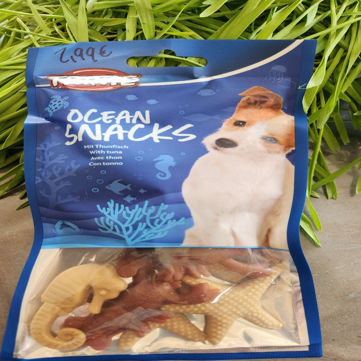 Ocean snacks
